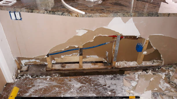 Best Water damage mitigation services  in St Louis, MO