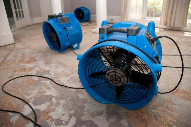 Best Water damage contractors near me  in St Louis, MO