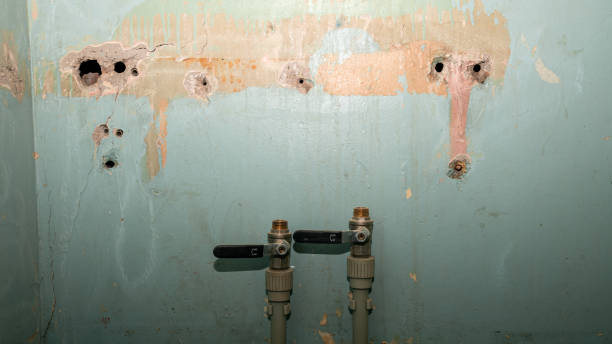 Best Commercial water damage restoration  in St Louis, MO