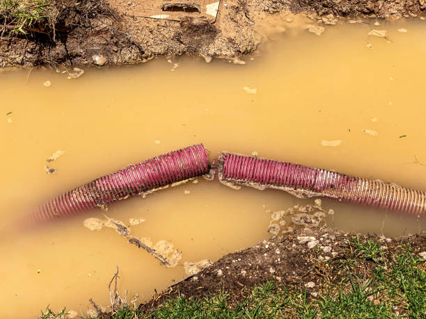 Best Carpet water damage restoration  in St Louis, MO