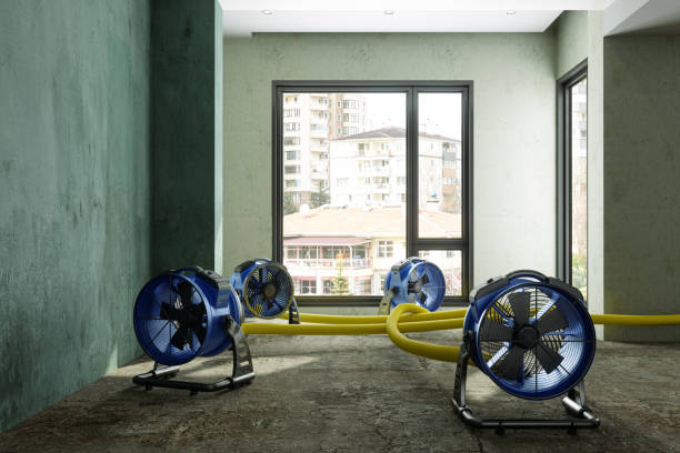 Best Ceiling water damage repair  in St Louis, MO